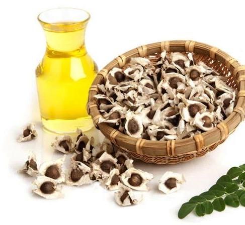 Moringa Seed Oil