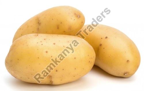 Round Organic Fresh Big Potato, Color : Brown