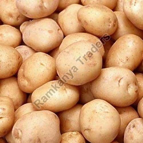 Round Organic Fresh Laukar Potato, for Human Consumption, Color : Brown