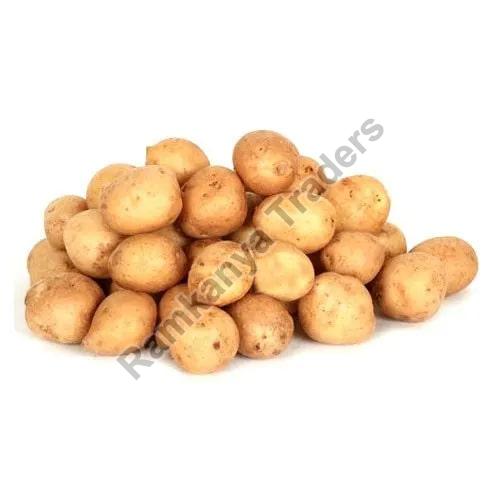 Organic Fresh Small Potato, For Human Consumption, Shape : Round
