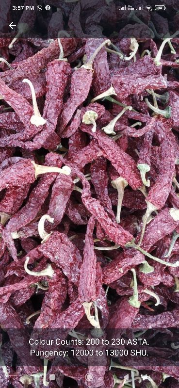 Organic Raw dried red chili, for Spices, Form : Solid