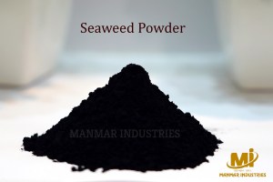 Seaweed Powder