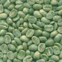 Green Coffee Oleoresin