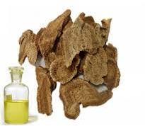 COSTUS ROOT ABS OIL, Color : Light Yellow to brown