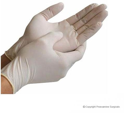 Examination Gloves Latex Powdered