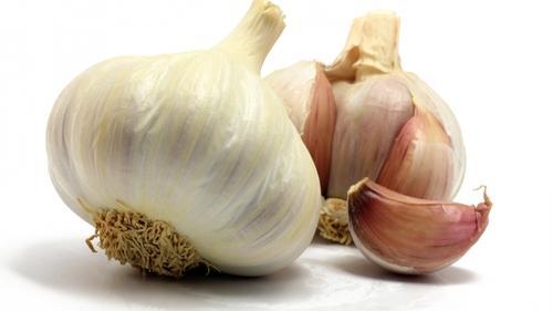 Garlic Extract, Shelf Life : 2 years