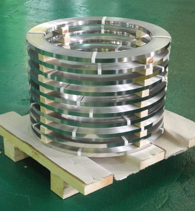 Inconel 600 Strips