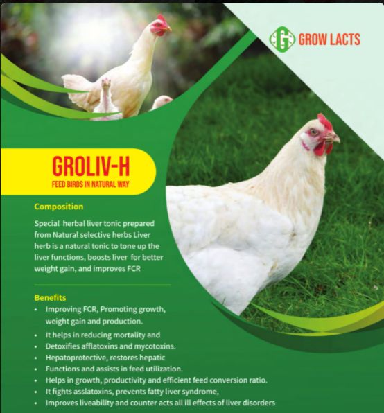 Grow Lacts Natural Groliv-H Liquid Feed Supplement, for Poultry Farm