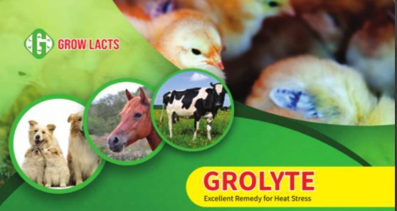 Grolyte Feed Premix