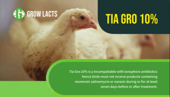 Tia Gro 10%  Poultry Liquid Supplement