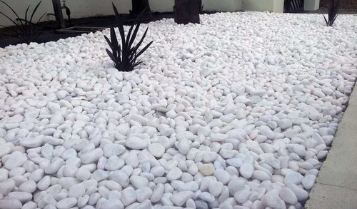 Polished White Pebble Stone, Size : 10x10Inch, 12x12Inch, 14x14Inch