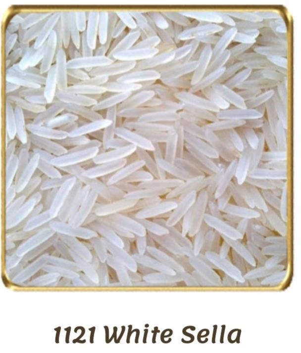 1121 White Sella