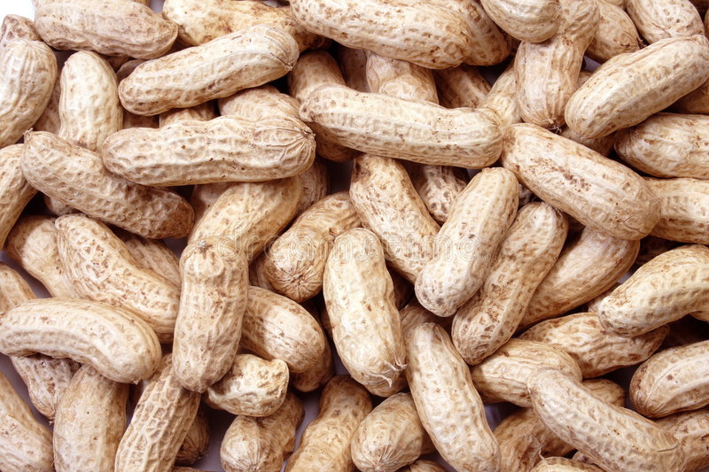 Hybrid Groundnuts