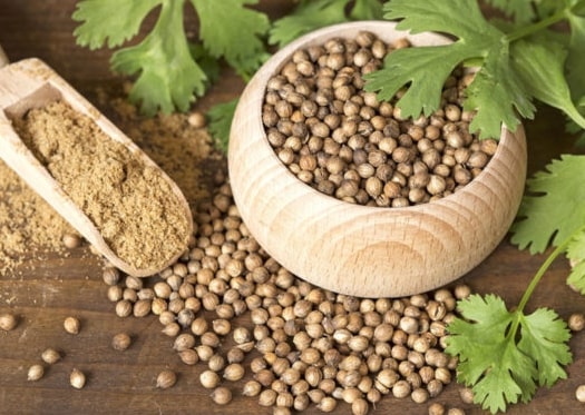 Organic coriander seeds, for Agriculture, Packaging Type : PP Bags