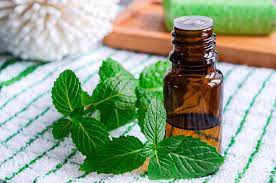 Mentha Oil, for Cooking, Medicine, Feature : Anti-Inflammatory