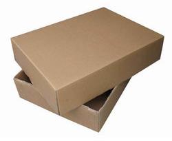 Fruit Packaging Corrugated Box, Size : 250x250x120cm, 300x300x140cm