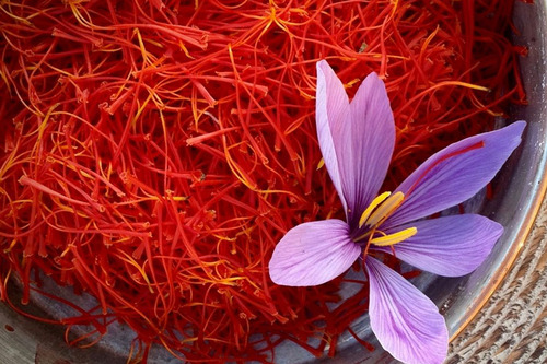 kashmiri saffron