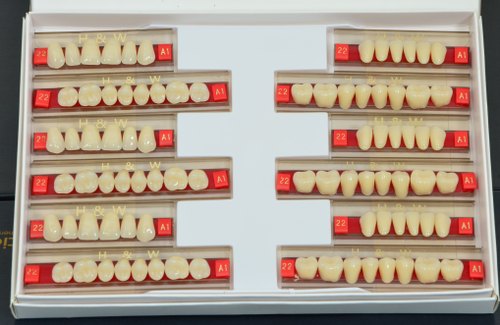 Synthetic Acrylic Teeth Set
