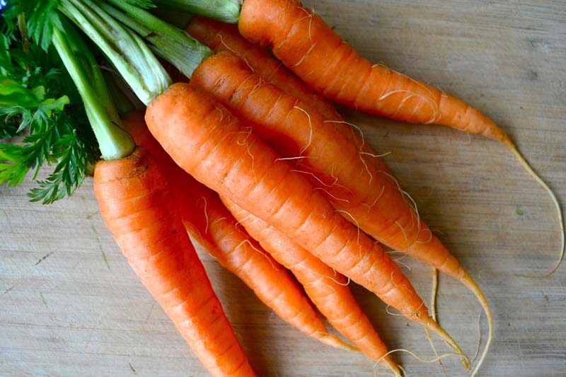 Fresh Carrot