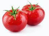 fresh tomato