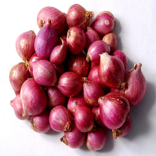 Natural Fresh Small Onion, for Human Consumption, Feature : Freshness