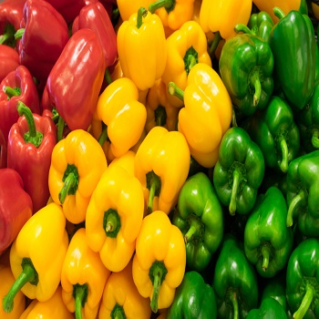 Fresh green yellow red chili bell pepper