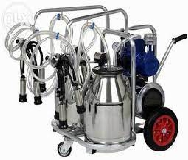 Semi Automatic Double Bucket Milking Machine,