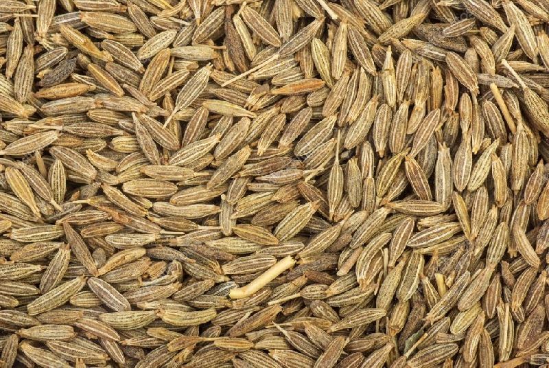 Organic cumin seeds, for Cooking, Packaging Type : Plastic Packet
