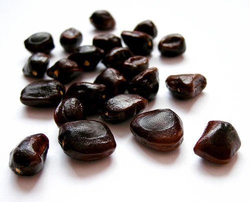 Organic tamarind seeds, for Food Medicine, Packaging Type : Plastic Packet