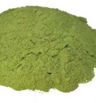 Common Stevia Powder , for Cooking, Purity : 100 %