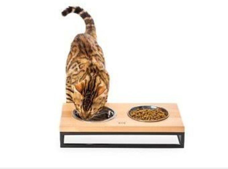 Polished Metal Cat Food Bowl Stand, Style : Modern