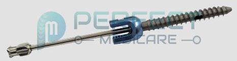 Fenestrated Poly Axial Screw With Cementing Needle