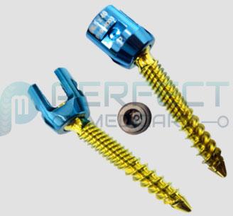 Dual Thread Poly Axial Screw, Packaging Type : Box