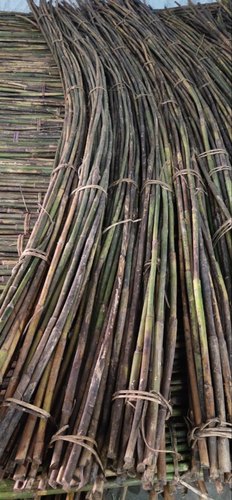 Long Round Bamboo Cane, Length : Custom