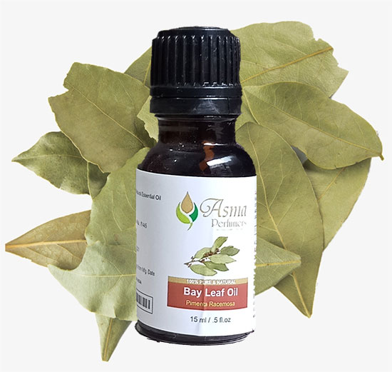 Bay Leaf Oil, Packaging Size : 15ml, 50ml, 100ml, 300ml, 500ml 1000ml