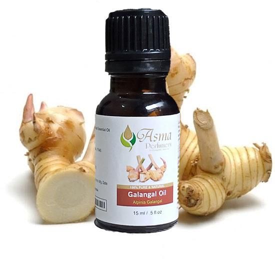 Galangal Oil