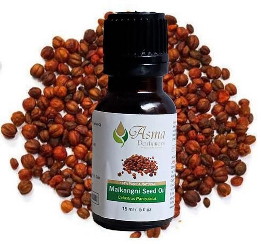 Malkangni Seed Carrier Oil
