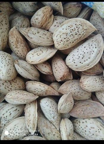 SSK Paper Shell Almonds, Packaging Type : Vacuum Bag