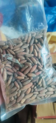 Common Pine Nut Kernels, for Food, Snacks, Sweets, Packaging Type : Pouch, Pp Bag, Sachet Bag, Tinned Can