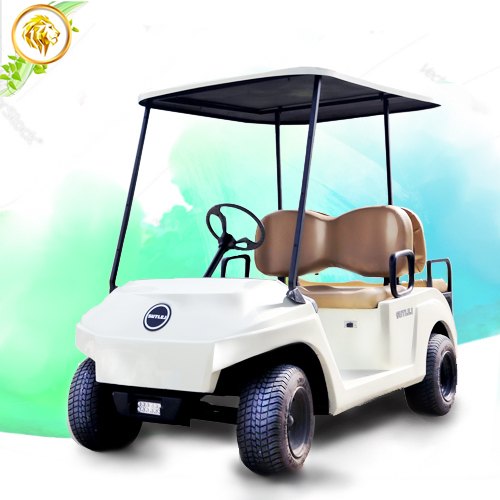 3 Layer FRP Body Golf Cart, Color : White
