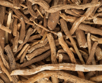 Raw Ashwagandha Roots, for Herbal Products, Medicine, Supplements, Style : Dried