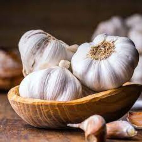 garlic