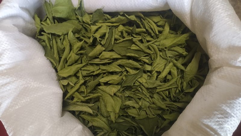Natural Dehydrated Lemon Leaves, Color : Green