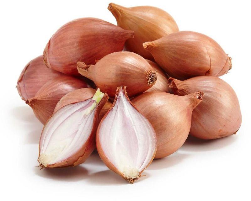 Organic Fresh Shallot Onions, Shelf Life : 15days