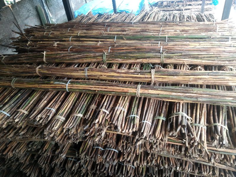 Natural Jeng Bamboo Cane, Length : 10 Ft, 11 Ft, 12 Ft