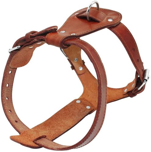 Leather Dog Harness, Size : Custom