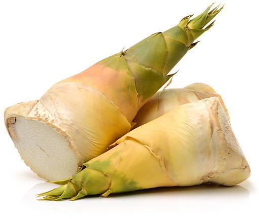 Fresh Bamboo shoots