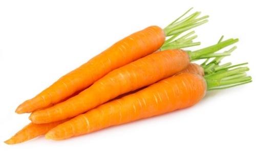 SIDHDHI VINAYAK Fresh Carrot, Packaging Type : Jute Bags, Paper Box, Plastic Bag, Plastic Bags