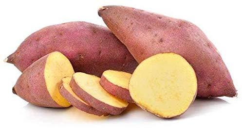 Fresh sweet potato, Certification : CE Certified, ISO 9001:2008, FSSAI Certified, FDA Certified