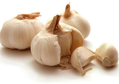 Organic Garlic